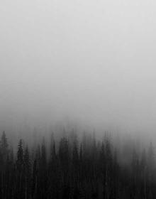 热血冒险 头像动漫